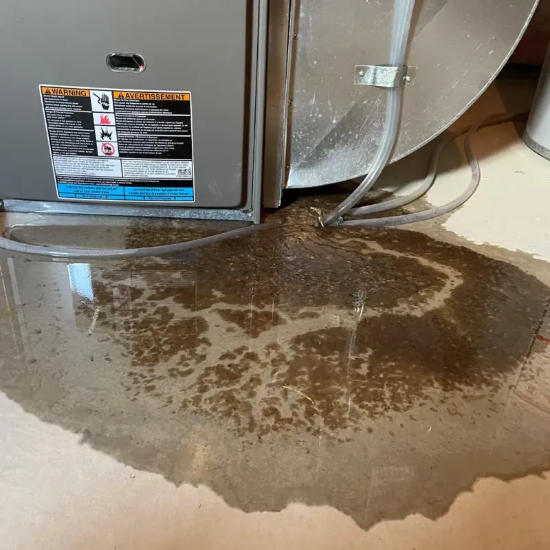 Appliance Leak Cleanup in Cottonwood, AZ